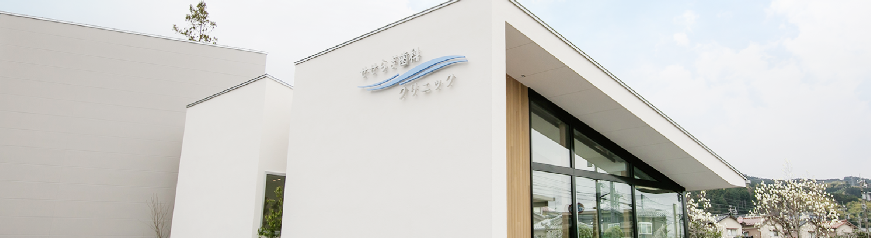 ACCESS 医院情報